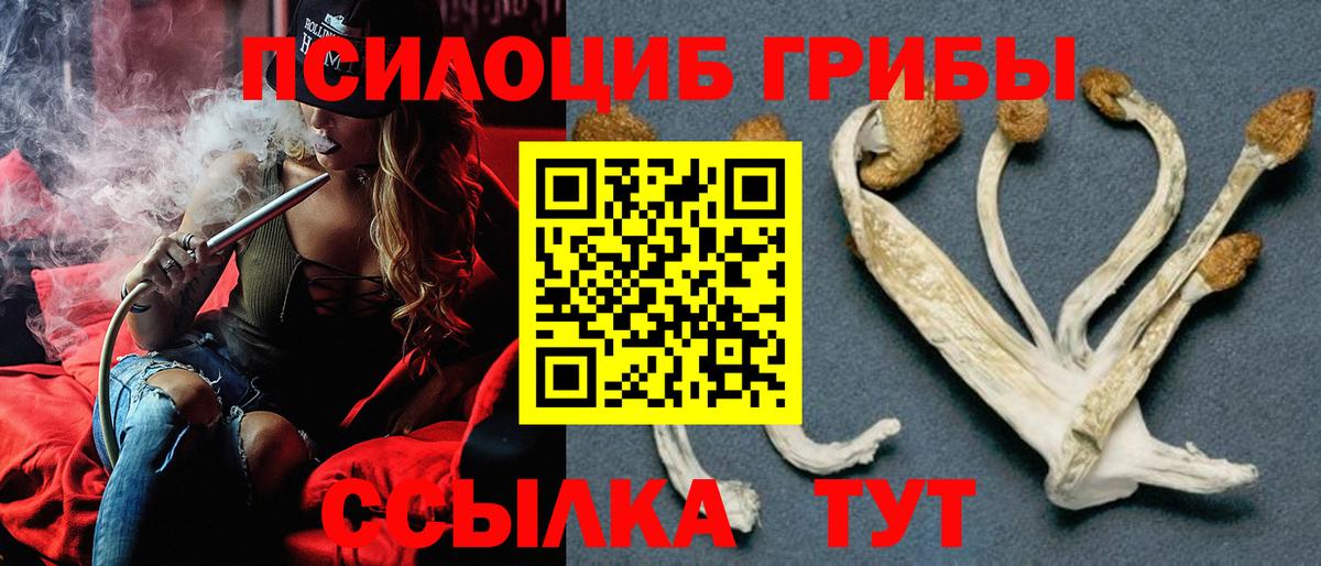 Галлюциногенные грибы Magic Shrooms Верхняя Пышма