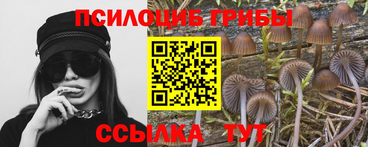 Псилоцибиновые грибы мухоморы  Вход с VPN  Верхняя Пышма 
